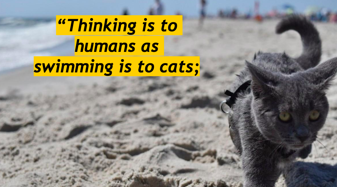 Näyttökuva 2025-11-26 kello 13.53.50